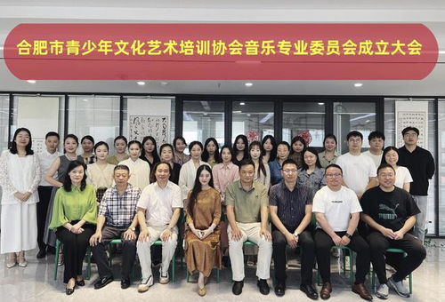 合肥市青少年文化藝術(shù)培訓協(xié)會音樂專業(yè)委員會正式成立